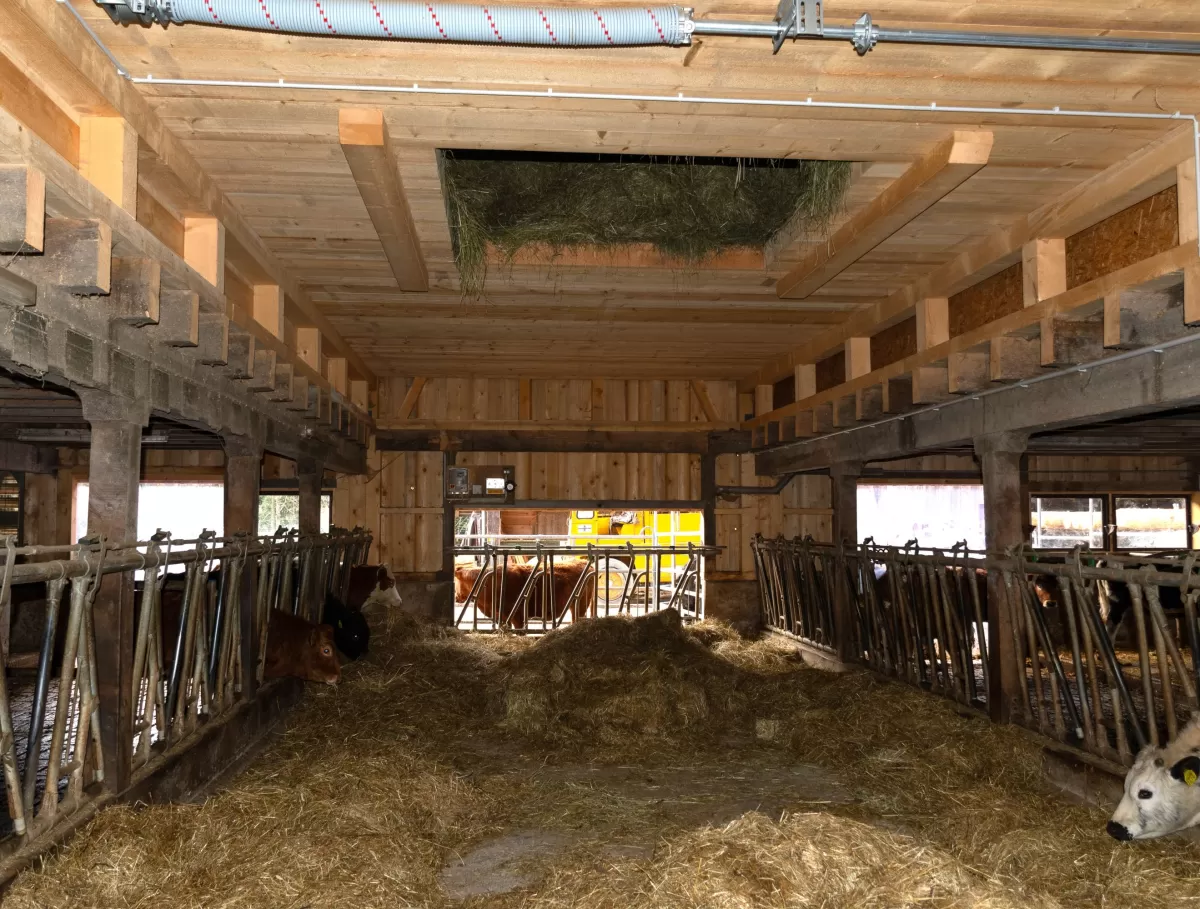 🔨 Projekt abgeschlossen – Abbruch & Wiederaufbau Dach & Futterlager! 🏗️  Für dieses landwirtschaftliche Gebäude durften wir den Abbruch und Wiederaufbau des Dachs und Futterlagers realisieren – inklusive einer Firstverlängerung für den Futterabladeplatz. Ein gelungenes Projekt, das Funktionalität und Qualität optimal vereint!  Als Spezialisten für Holzbau in der Landwirtschaftszone begleiten wir unsere Kunden von der Planung bis zur Umsetzung. Ob Sanierungen, Neubauten oder maßgeschneiderte Lösungen für l