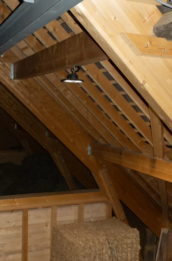 🔨 Projekt abgeschlossen – Abbruch & Wiederaufbau Dach & Futterlager! 🏗️  Für dieses landwirtschaftliche Gebäude durften wir den Abbruch und Wiederaufbau des Dachs und Futterlagers realisieren – inklusive einer Firstverlängerung für den Futterabladeplatz. Ein gelungenes Projekt, das Funktionalität und Qualität optimal vereint!  Als Spezialisten für Holzbau in der Landwirtschaftszone begleiten wir unsere Kunden von der Planung bis zur Umsetzung. Ob Sanierungen, Neubauten oder maßgeschneiderte Lösungen für l