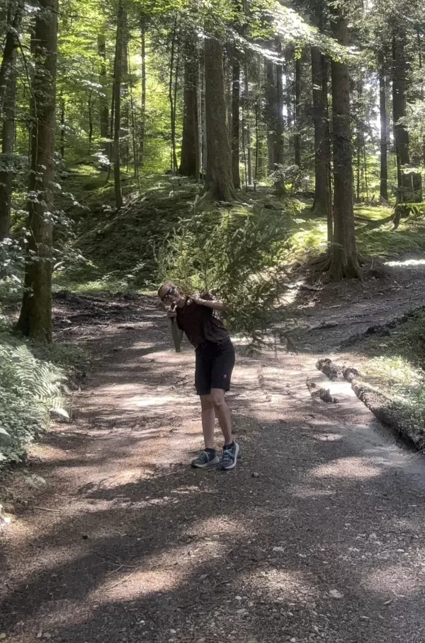 Person trägt einen kleinen gefällten Tannenbaum auf der Schulter durch einen sonnendurchfluteten Waldweg.