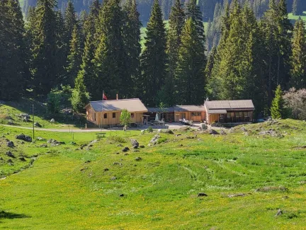Holzhaus im Bau mit natürlicher Holzfassade inmitten einer Waldlandschaft. Das eingeschossige Gebäude steht auf einem gepflegten Grundstück mit Wiese und Zufahrtsweg. Die Fensteröffnungen sind bereits erstellt, während der Innenausbau noch im Gange ist. Im Hintergrund befinden sich weitere Holzbauten sowie hohe Nadelbäume, die das Gebäude umgeben. Die Aufnahme zeigt die harmonische Einbindung des Holzbaus in die natürliche Umgebung.