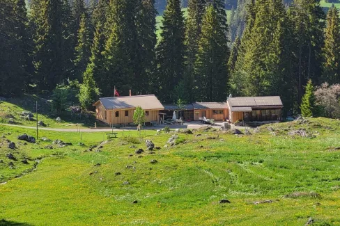 Holzhaus im Bau mit natürlicher Holzfassade inmitten einer Waldlandschaft. Das eingeschossige Gebäude steht auf einem gepflegten Grundstück mit Wiese und Zufahrtsweg. Die Fensteröffnungen sind bereits erstellt, während der Innenausbau noch im Gange ist. Im Hintergrund befinden sich weitere Holzbauten sowie hohe Nadelbäume, die das Gebäude umgeben. Die Aufnahme zeigt die harmonische Einbindung des Holzbaus in die natürliche Umgebung.