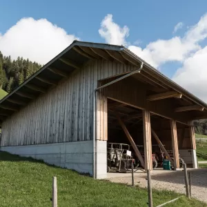  Neubau Wagenschopf. Der Bau ist gross genug das er platzt für die landwirtschaftlichen Fahrzeuge hat. Das Holz stammt alles aus dem Wald vom Bauherrschaft. Sehr schön zu sehen, wie sich hier die Wertschöpfungskette von a bis z durchzieht. Durch das eigene Holz und die Zimmerei aus dem Dorf ist dieser Wagenschopf auch sehr Nachhaltig - Kurze Transportwege.