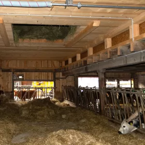 🔨 Projekt abgeschlossen – Abbruch & Wiederaufbau Dach & Futterlager! 🏗️  Für dieses landwirtschaftliche Gebäude durften wir den Abbruch und Wiederaufbau des Dachs und Futterlagers realisieren – inklusive einer Firstverlängerung für den Futterabladeplatz. Ein gelungenes Projekt, das Funktionalität und Qualität optimal vereint!  Als Spezialisten für Holzbau in der Landwirtschaftszone begleiten wir unsere Kunden von der Planung bis zur Umsetzung. Ob Sanierungen, Neubauten oder maßgeschneiderte Lösungen für l