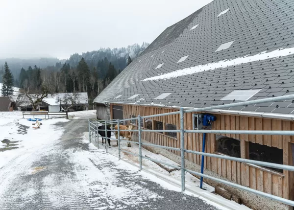 Umbau Viehstall