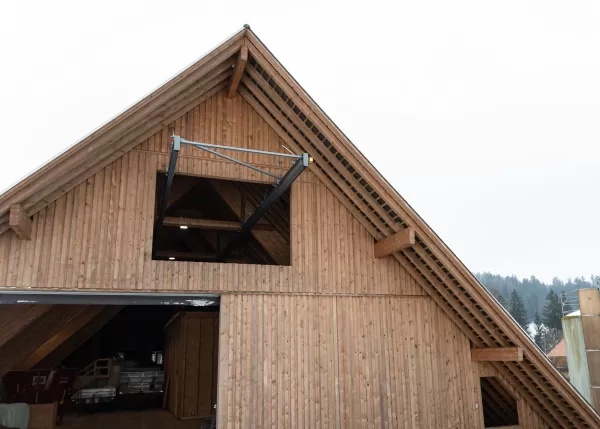 Umbau Viehstall