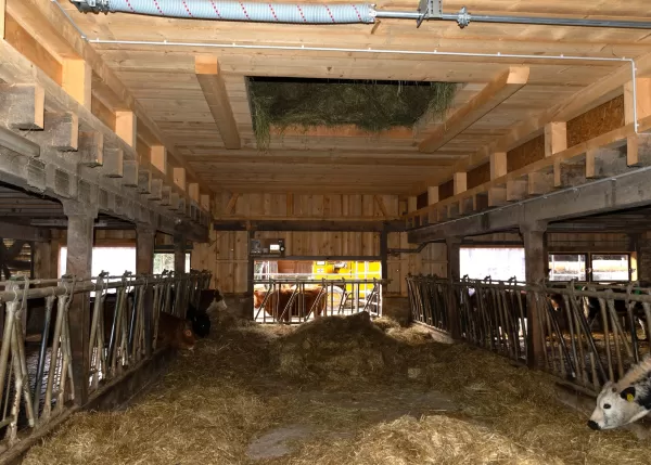 🔨 Projekt abgeschlossen – Abbruch & Wiederaufbau Dach & Futterlager! 🏗️  Für dieses landwirtschaftliche Gebäude durften wir den Abbruch und Wiederaufbau des Dachs und Futterlagers realisieren – inklusive einer Firstverlängerung für den Futterabladeplatz. Ein gelungenes Projekt, das Funktionalität und Qualität optimal vereint!  Als Spezialisten für Holzbau in der Landwirtschaftszone begleiten wir unsere Kunden von der Planung bis zur Umsetzung. Ob Sanierungen, Neubauten oder maßgeschneiderte Lösungen für l
