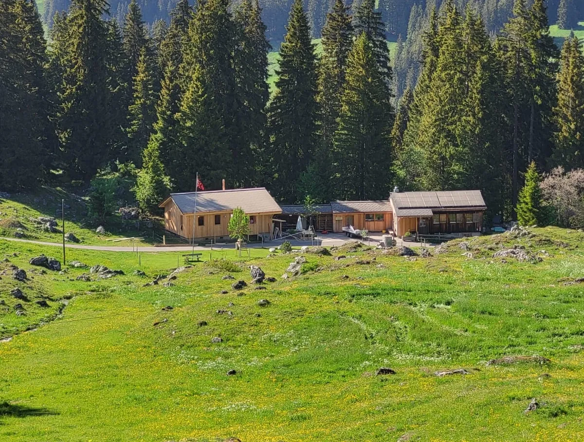 Holzhaus im Bau mit natürlicher Holzfassade inmitten einer Waldlandschaft. Das eingeschossige Gebäude steht auf einem gepflegten Grundstück mit Wiese und Zufahrtsweg. Die Fensteröffnungen sind bereits erstellt, während der Innenausbau noch im Gange ist. Im Hintergrund befinden sich weitere Holzbauten sowie hohe Nadelbäume, die das Gebäude umgeben. Die Aufnahme zeigt die harmonische Einbindung des Holzbaus in die natürliche Umgebung.