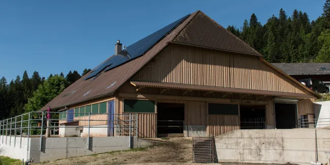 Aussenansicht eines landwirtschaftlichen Gebäudes in Holzbauweise mit grossem Satteldach. Auf dem Dach sind Solarpanels installiert. Das Gebäude steht auf einem Betonsockel und verfügt über offene Stallbereiche. Umgeben ist es von Grünflächen und Wald, bei klarem blauem Himmel.