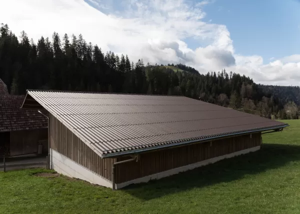  Neubau Wagenschopf. Der Bau ist gross genug das er platzt für die landwirtschaftlichen Fahrzeuge hat. Das Holz stammt alles aus dem Wald vom Bauherrschaft. Sehr schön zu sehen, wie sich hier die Wertschöpfungskette von a bis z durchzieht. Durch das eigene Holz und die Zimmerei aus dem Dorf ist dieser Wagenschopf auch sehr Nachhaltig - Kurze Transportwege.